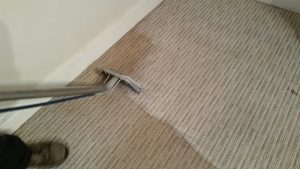 carpet cleaning services in london