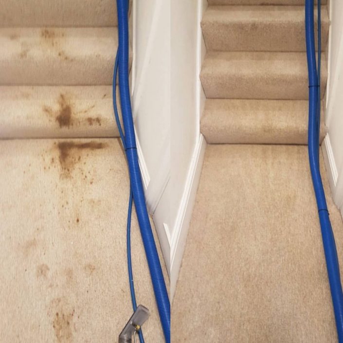 carpet cleaning london