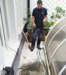 central London carpet cleaning