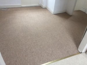 carpet cleaning west london