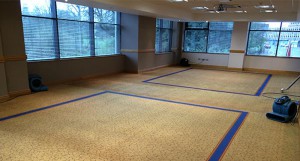 carpet cleaning north london