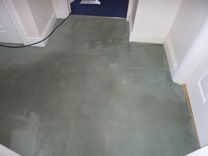 carpet cleaners north london