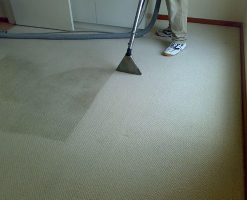 Professional-Carpet-Cleaning- carpet cleaner service london