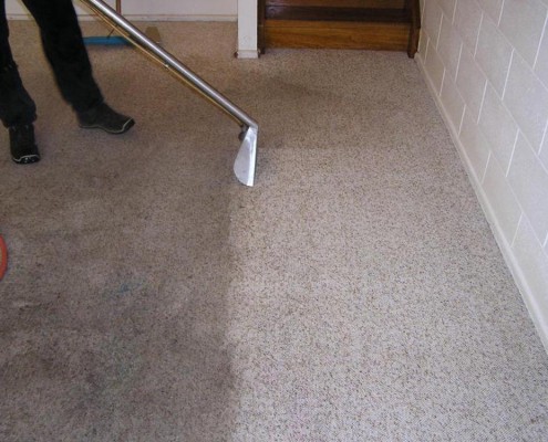 carpet+cleaners carpet cleaner service london
