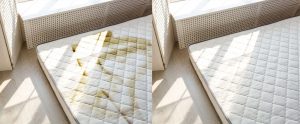 mattress cleaning london